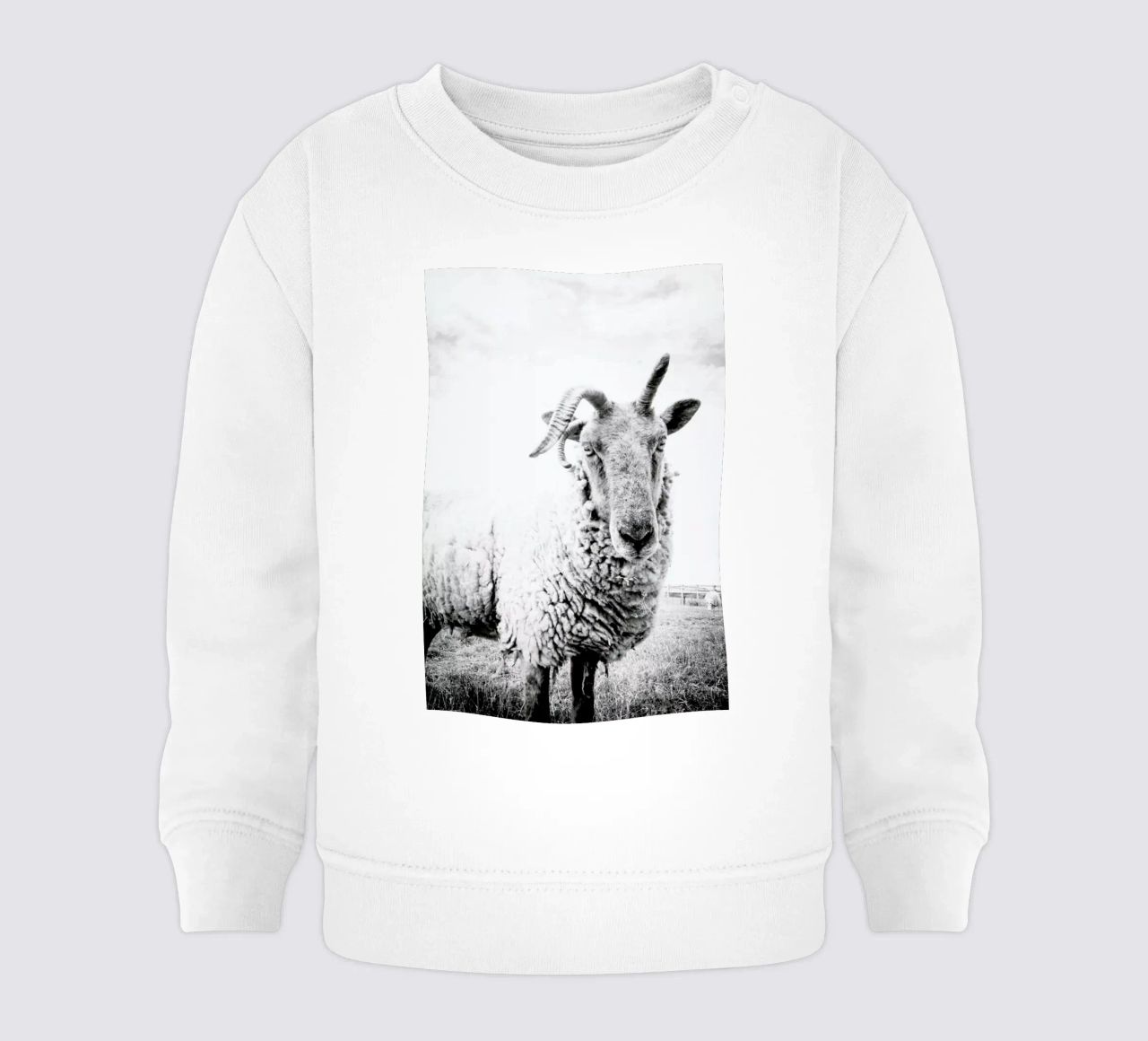 Sheep II felpa neonato da Victoria Frost