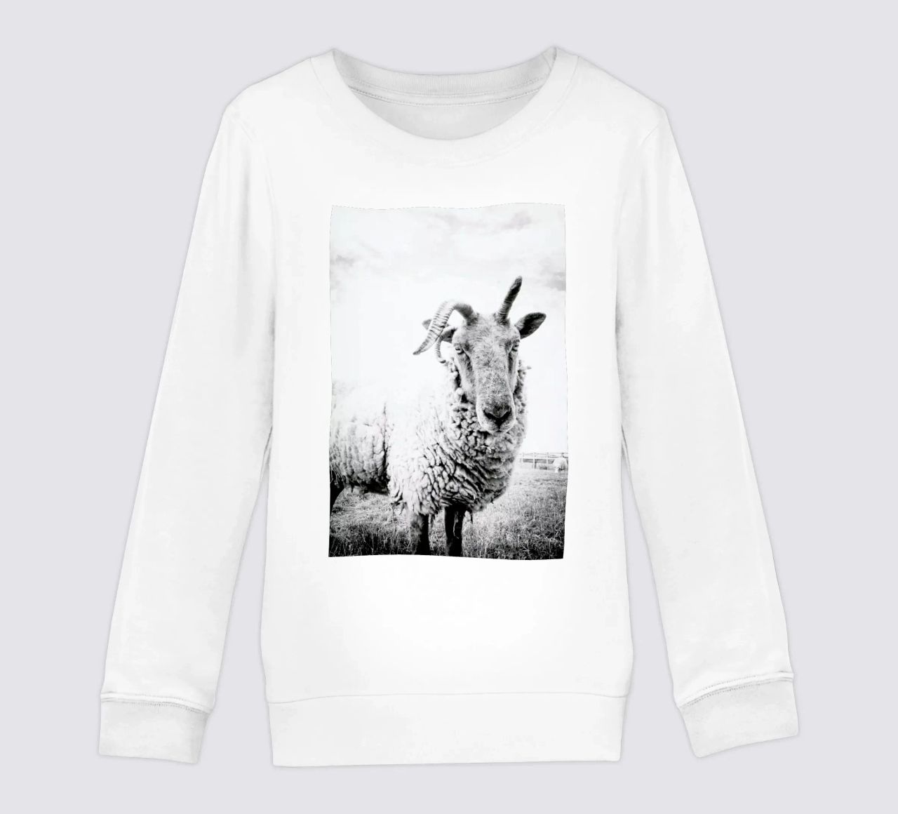 Sheep II felpa bambino da Victoria Frost
