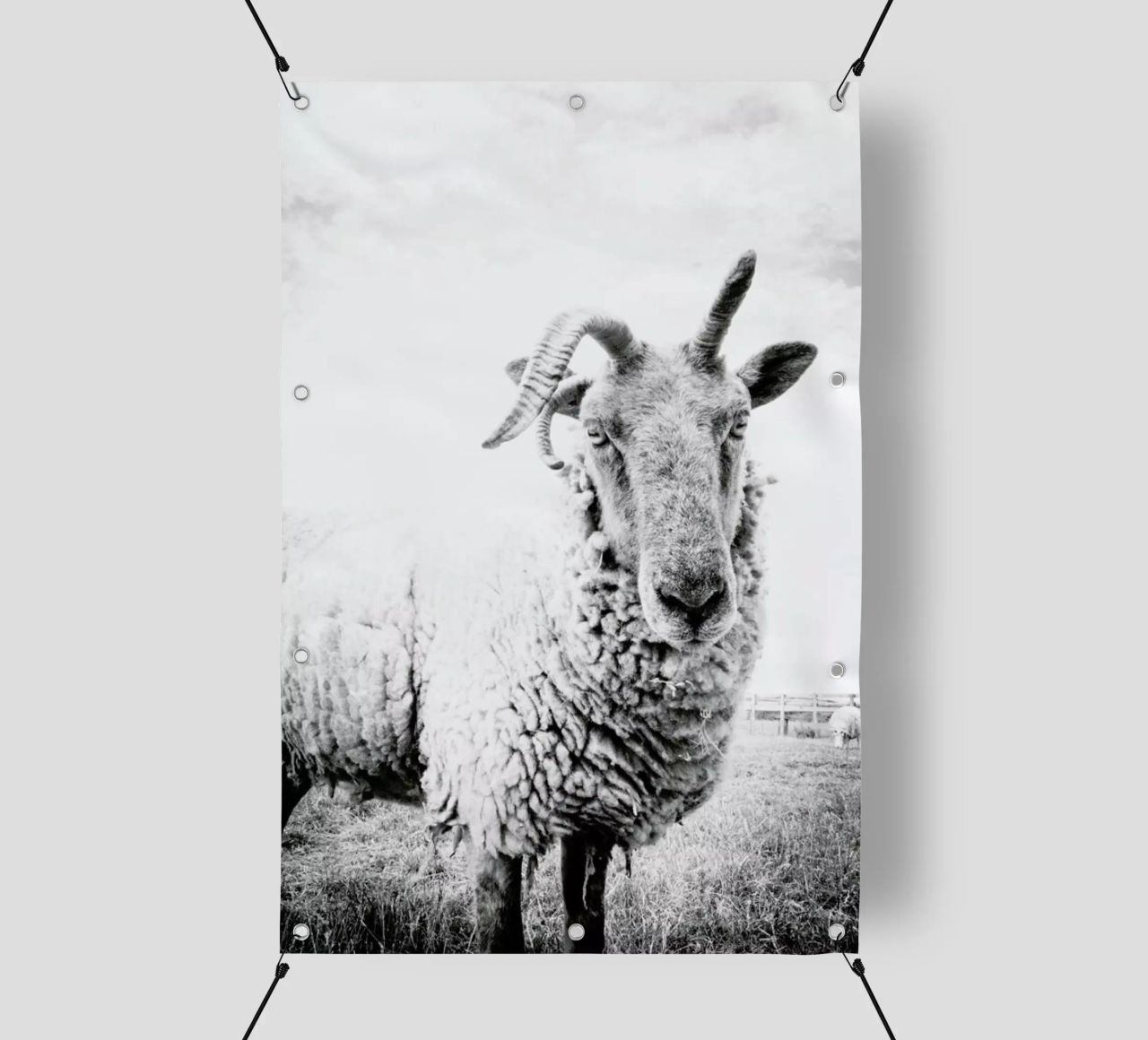 Sheep II telo in pvc da Victoria Frost