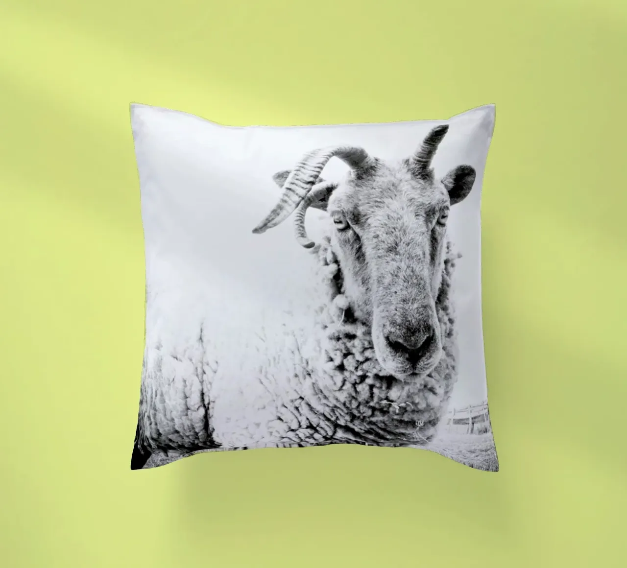 Sheep II cuscino da Victoria Frost