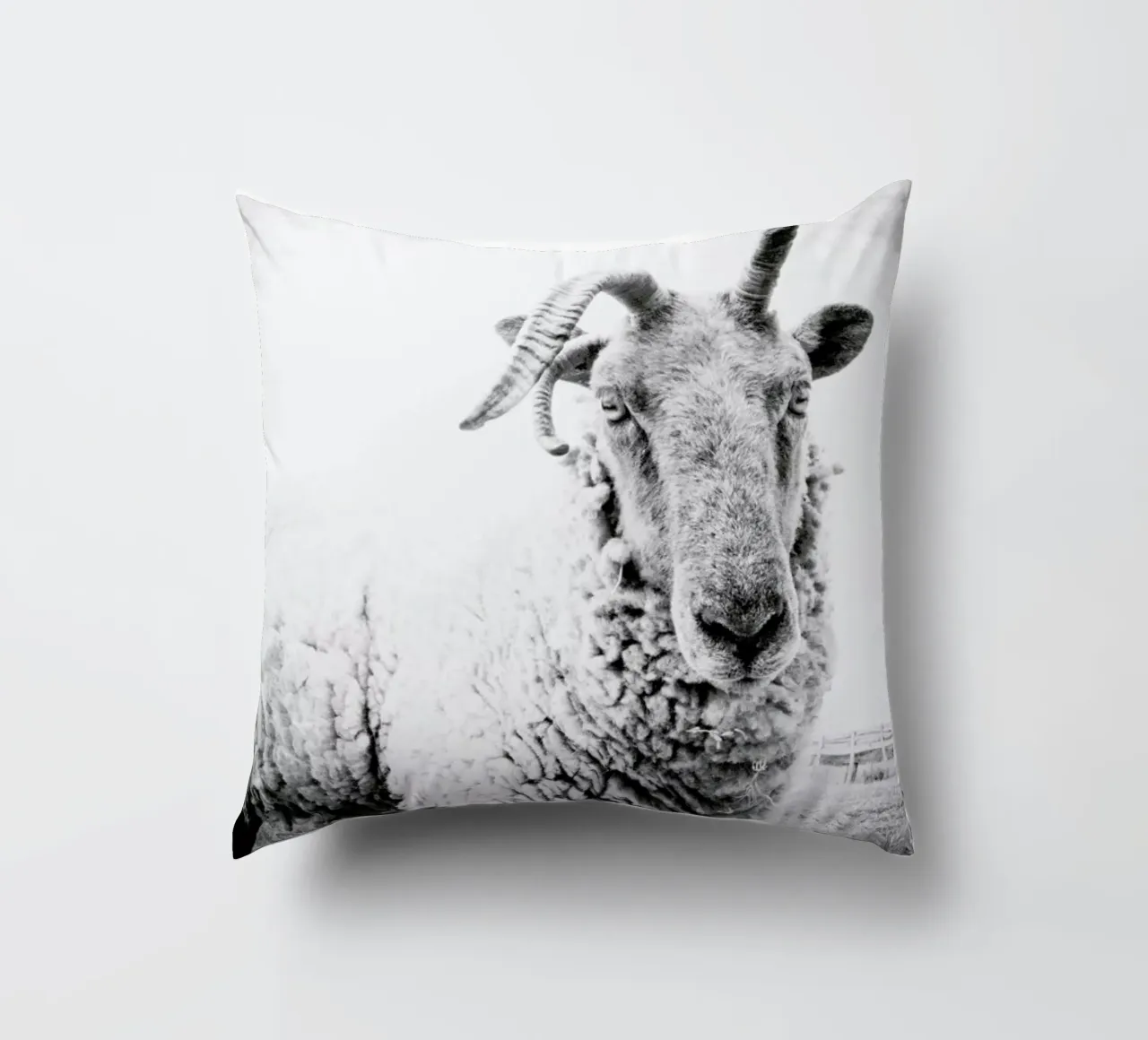 Sheep II cuscino da Victoria Frost