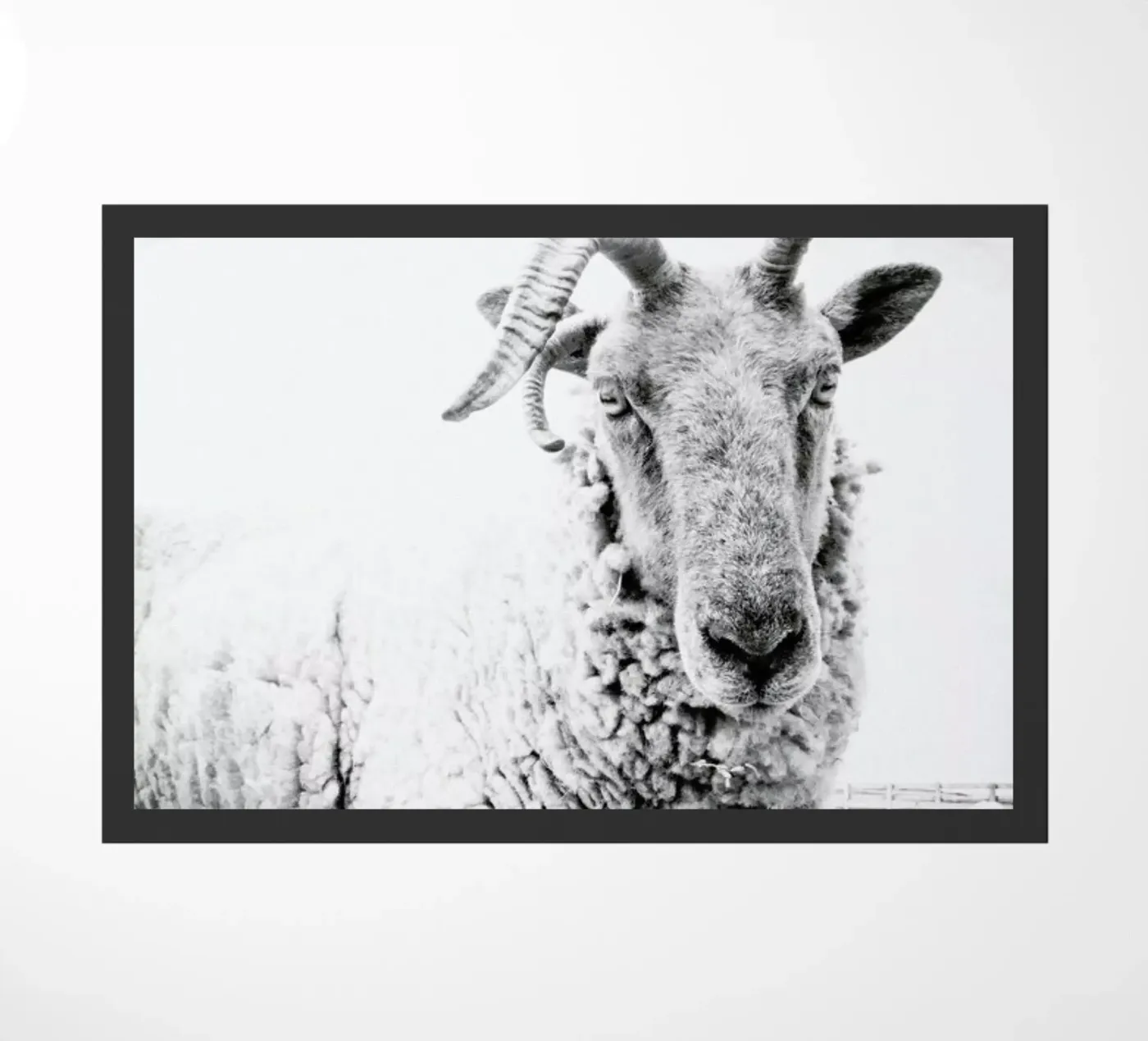 Sheep II doormat by Victoria Frost