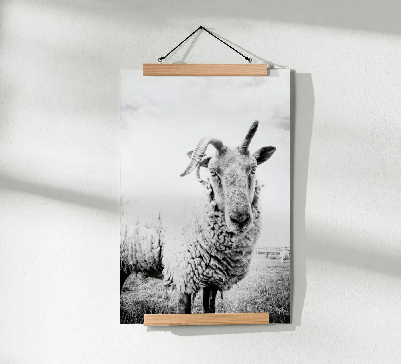 Sheep II poster da Victoria Frost