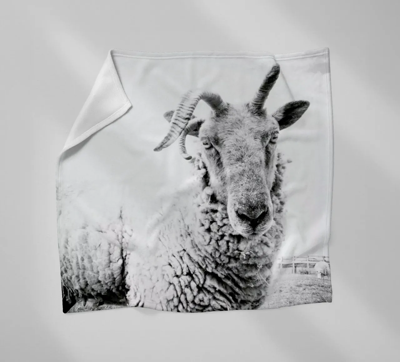 Sheep II coperta in pile da Victoria Frost