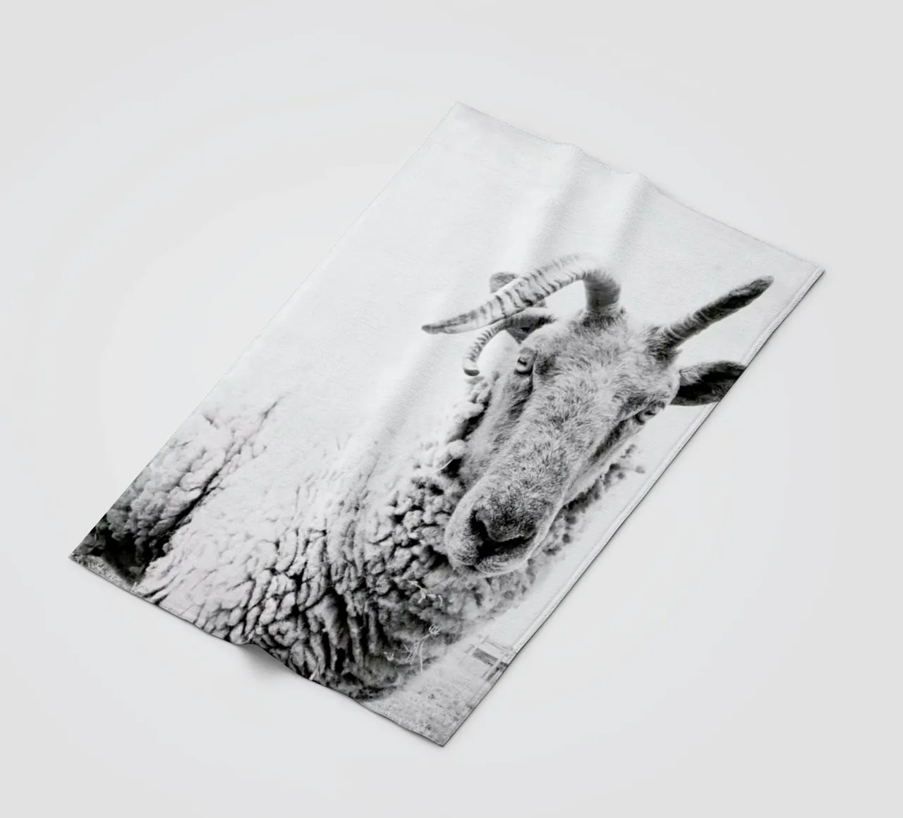 Sheep II coperta in pile da Victoria Frost