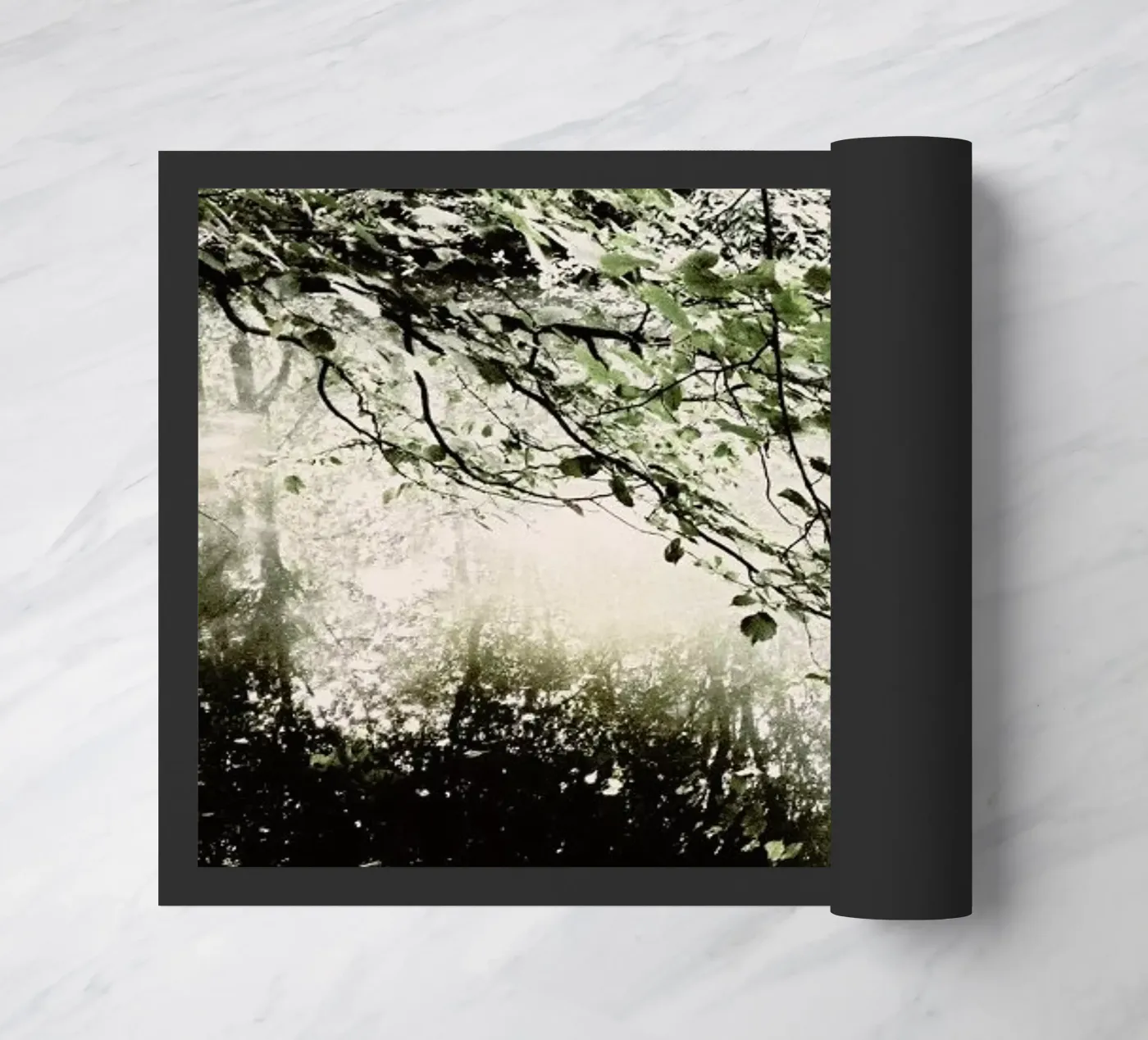 Tiergarten 5 zerbino da Angelo Cerantola