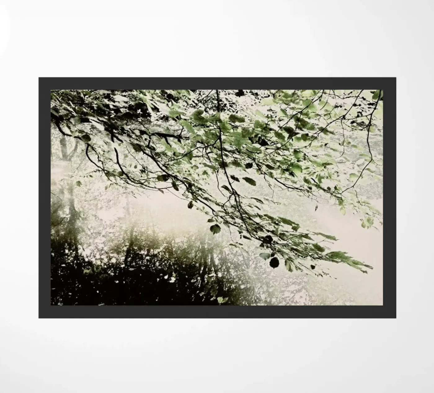 Tiergarten 5 zerbino da Angelo Cerantola