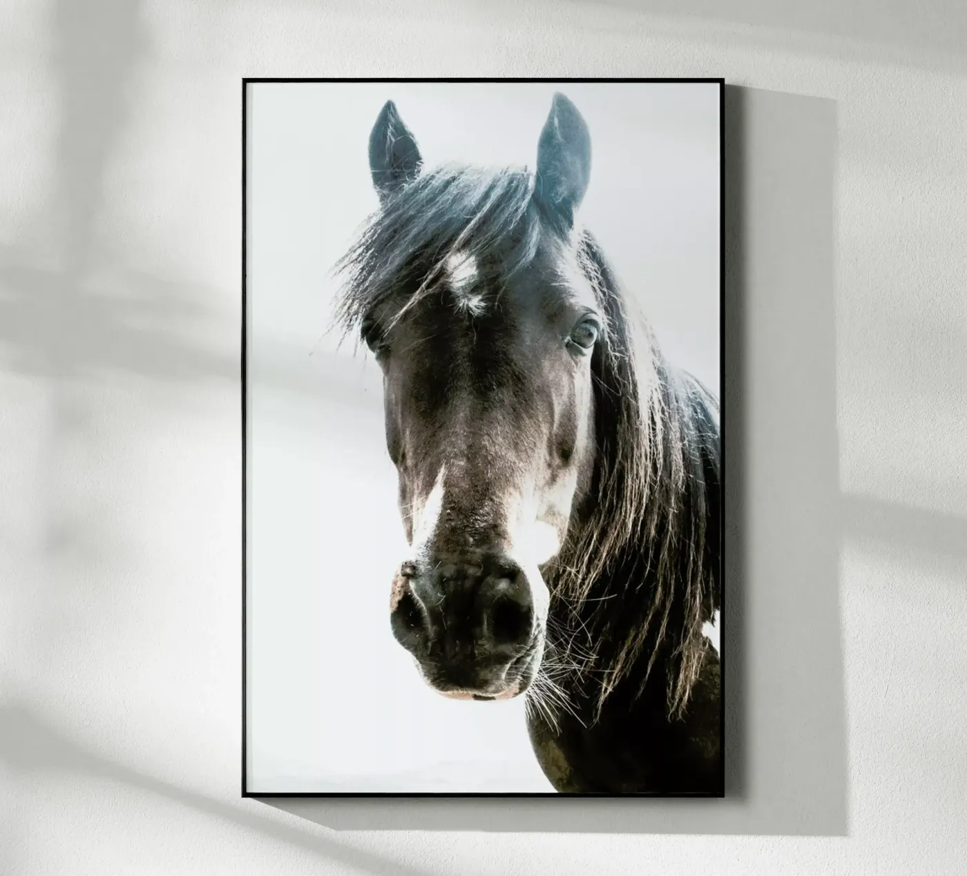 Horse plexiglas de Victoria Frost