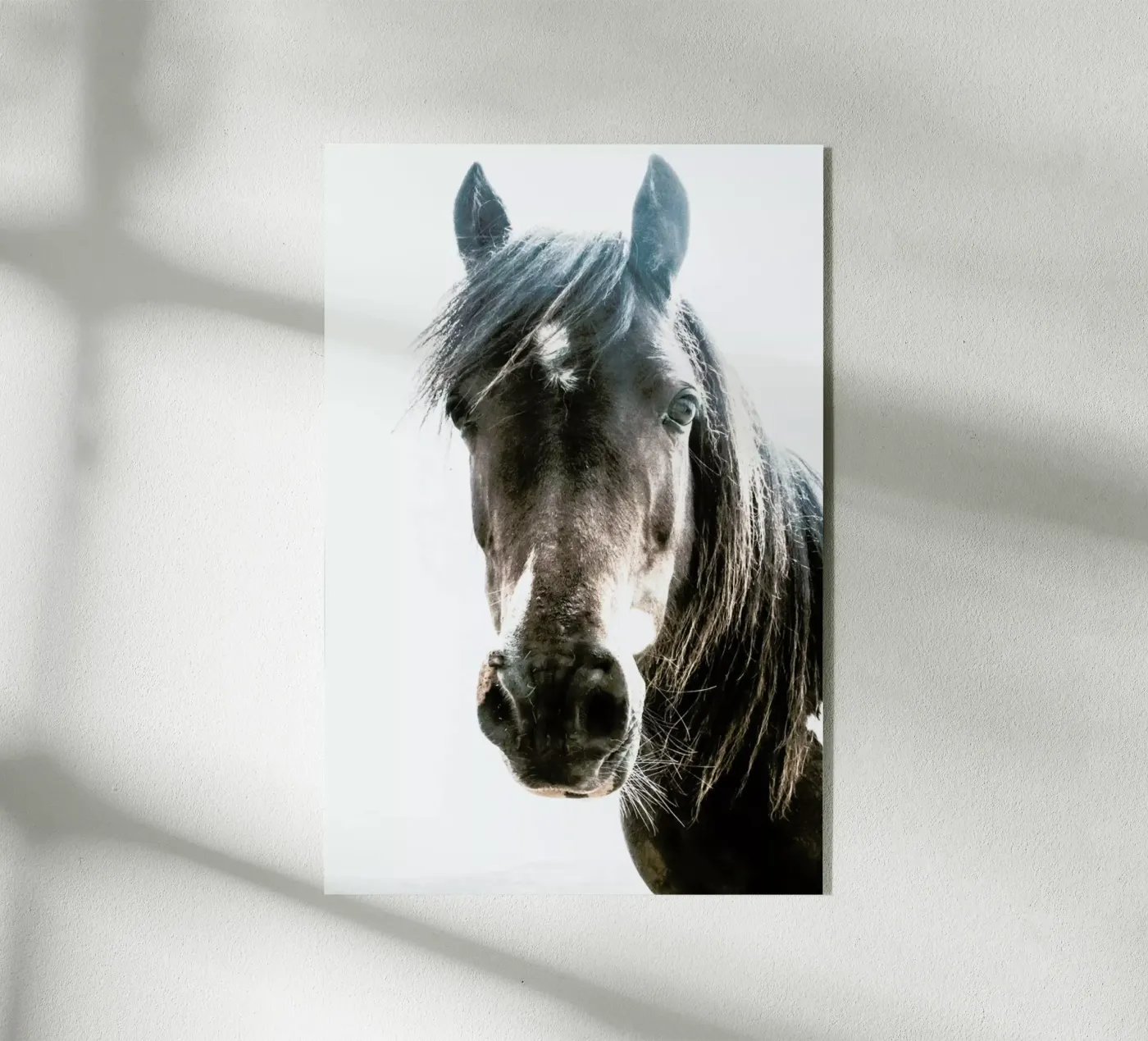 Horse plexiglas de Victoria Frost