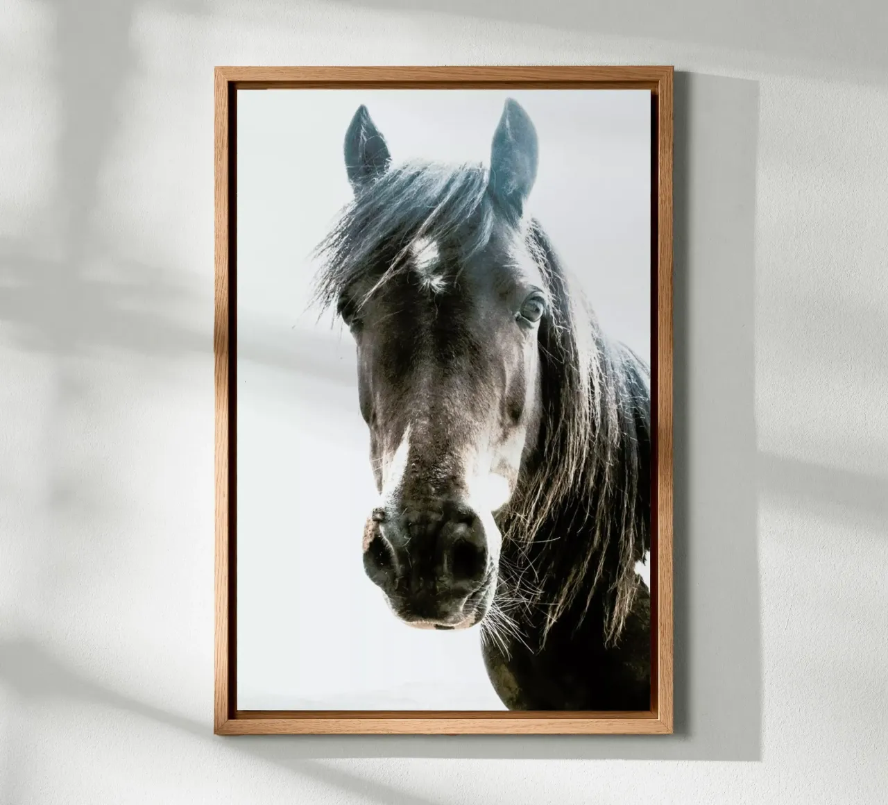 Horse forex-plaat van Victoria Frost