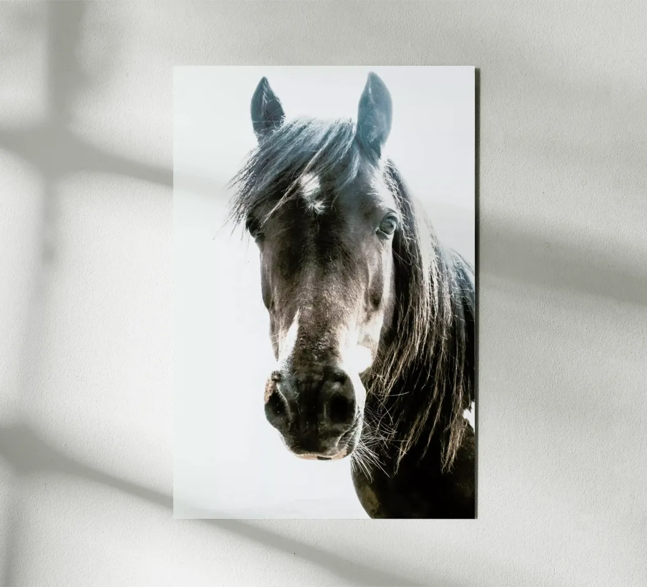 Horse forex-plaat van Victoria Frost