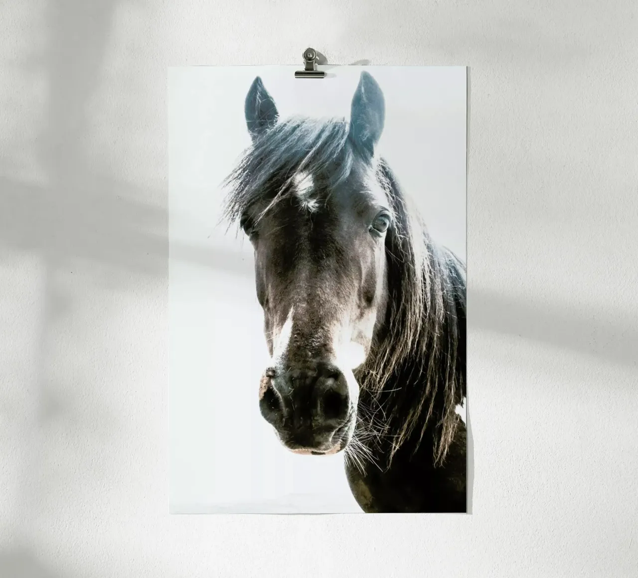 Horse poster da Victoria Frost