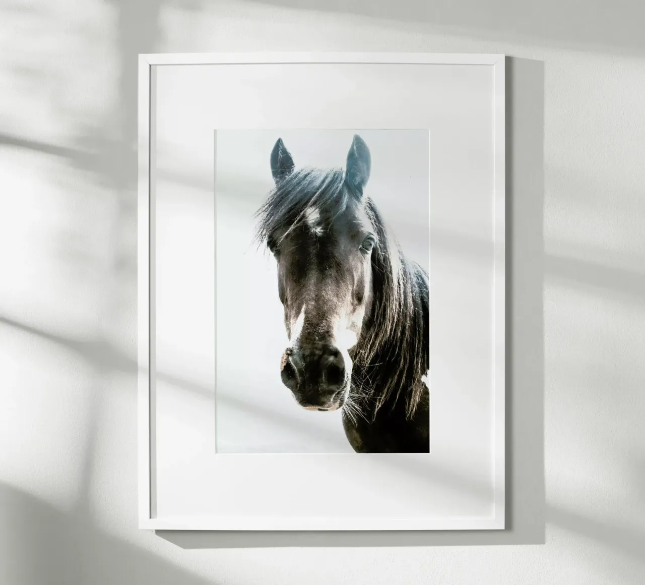 Horse poster da Victoria Frost