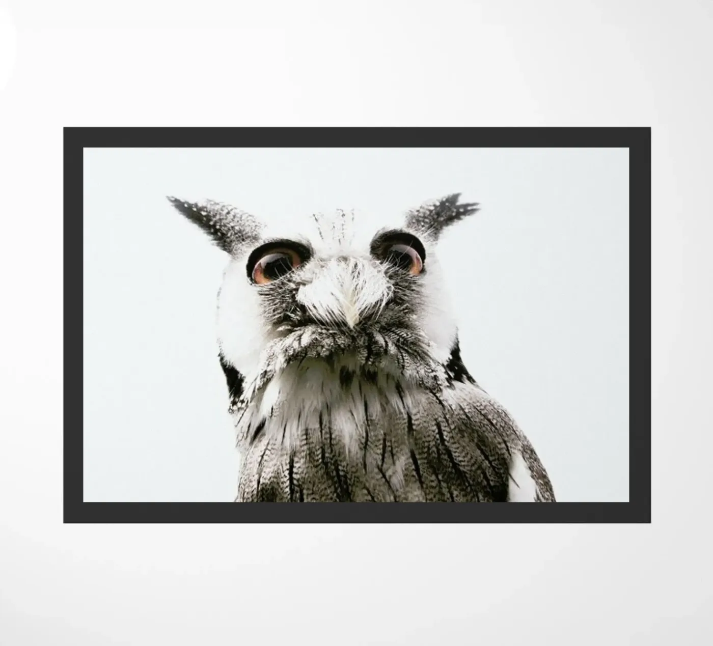 Lil Owl Fußmatte von Victoria Frost