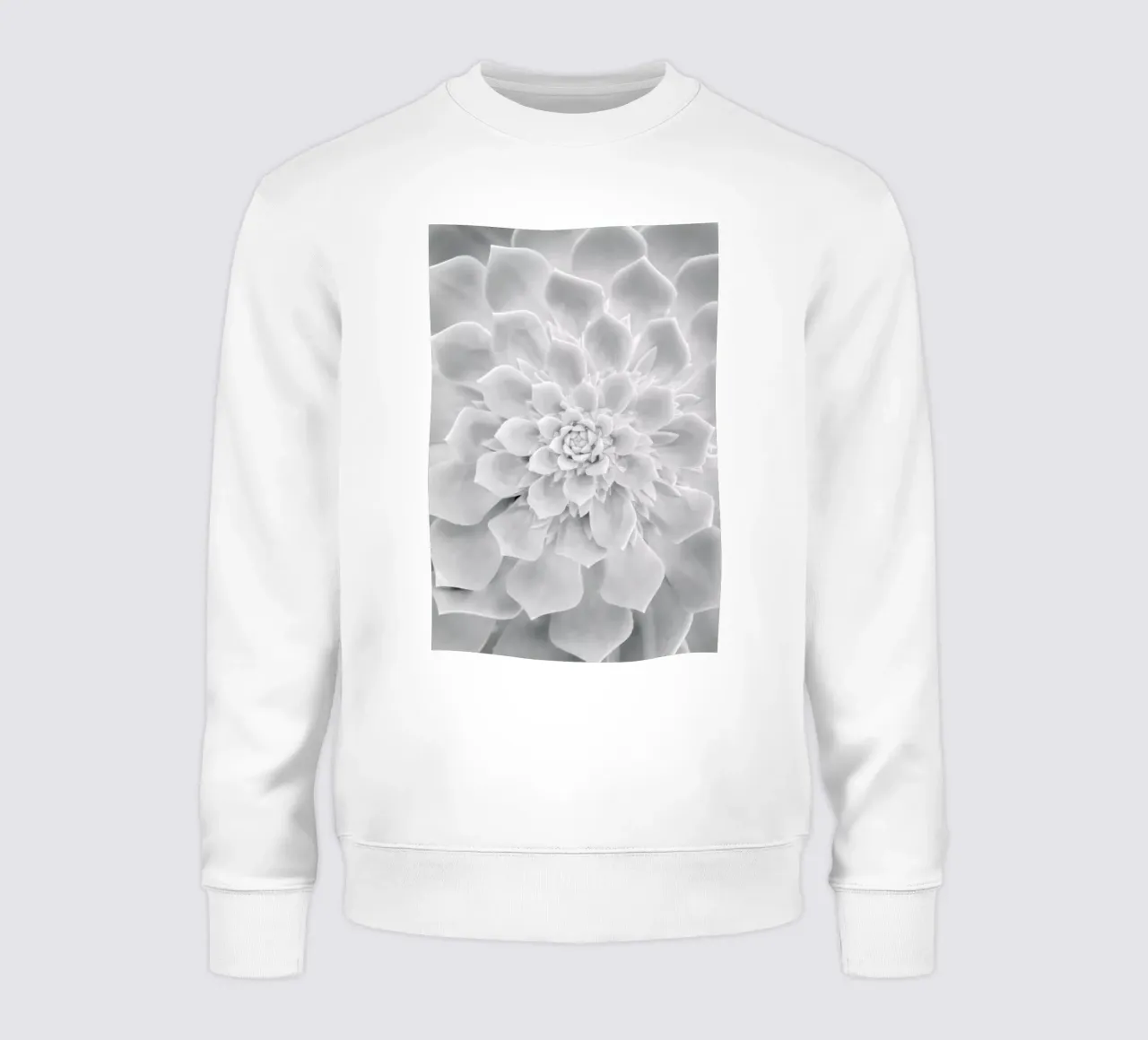 White Succulent felpa da Victoria Frost
