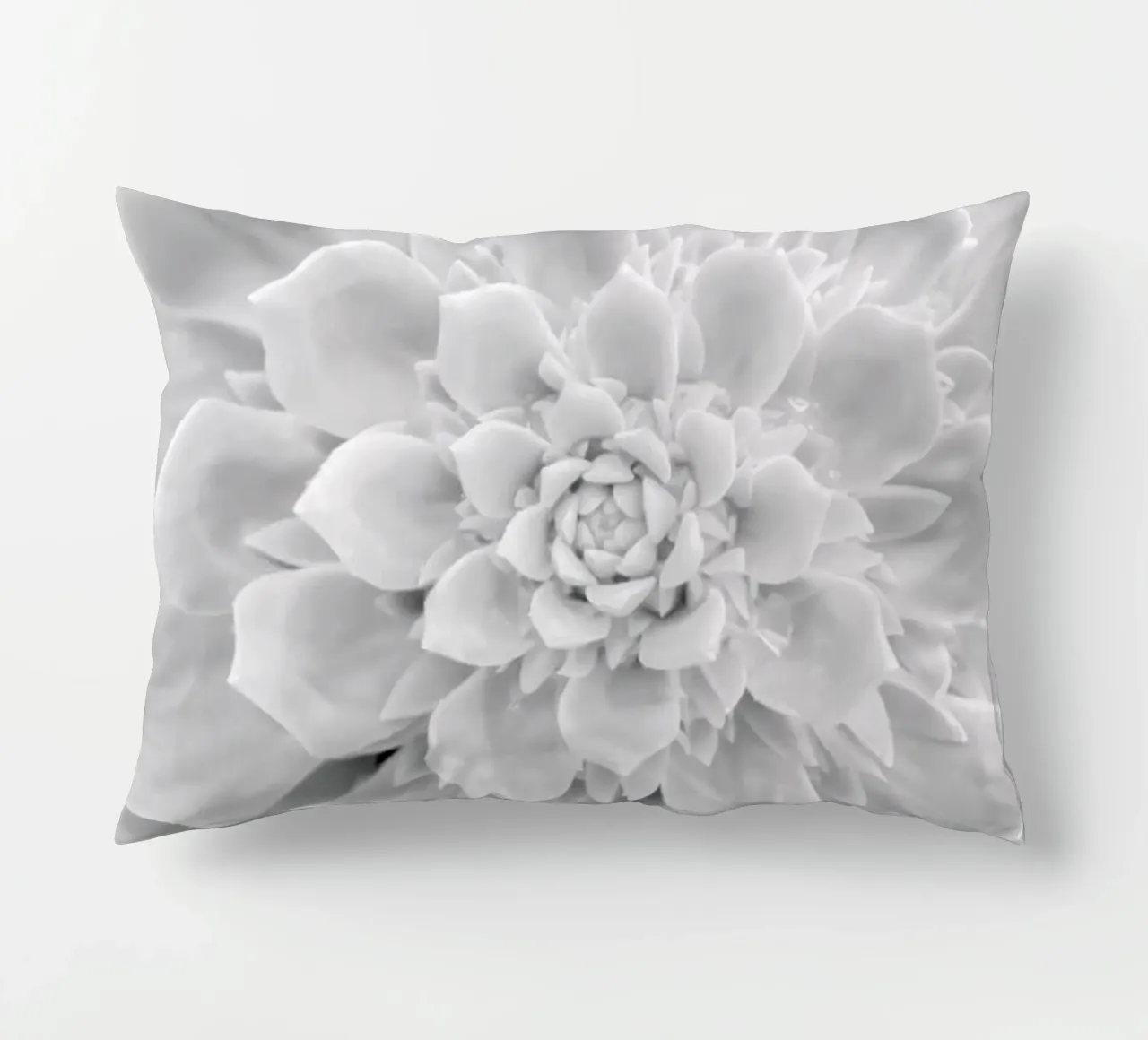 White Succulent decorative cushion by Victoria Frost