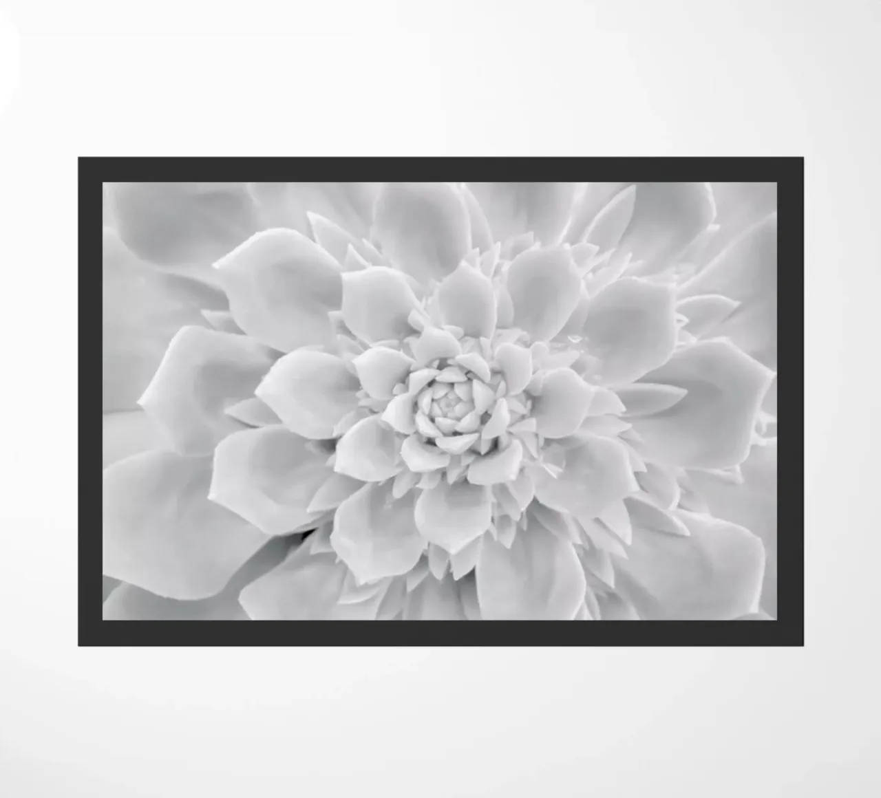 White Succulent doormat by Victoria Frost