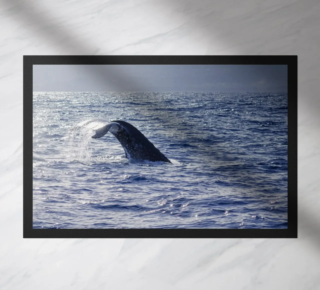 L'immersione delle balene 1 zerbino da Léa Lefebvre Photography