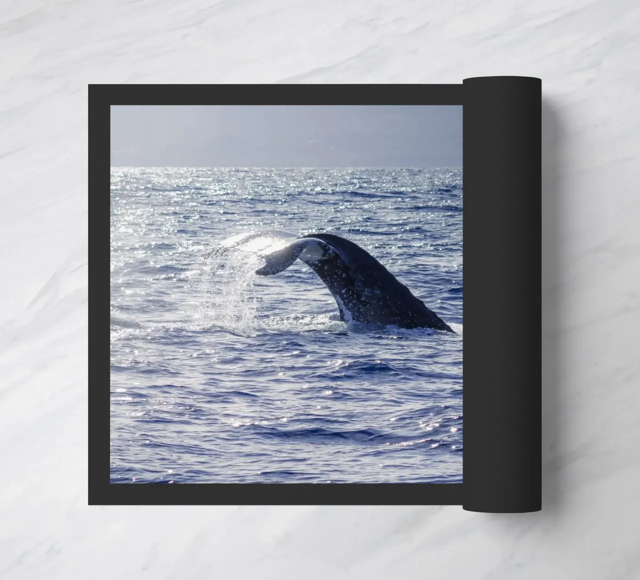 L'immersione delle balene 1 zerbino da Léa Lefebvre Photography