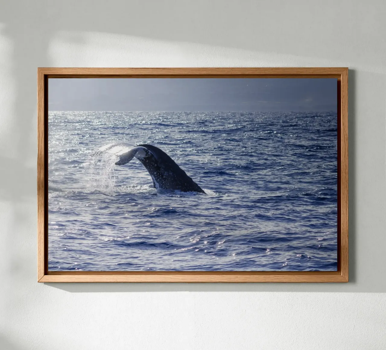L'immersione delle balene 1 alluminio dibond da Léa Lefebvre Photography