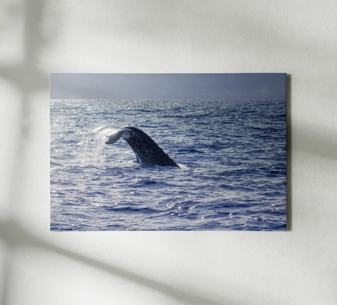 L'immersione delle balene 1 tela con Cornice a cassetta da Léa Lefebvre Photography