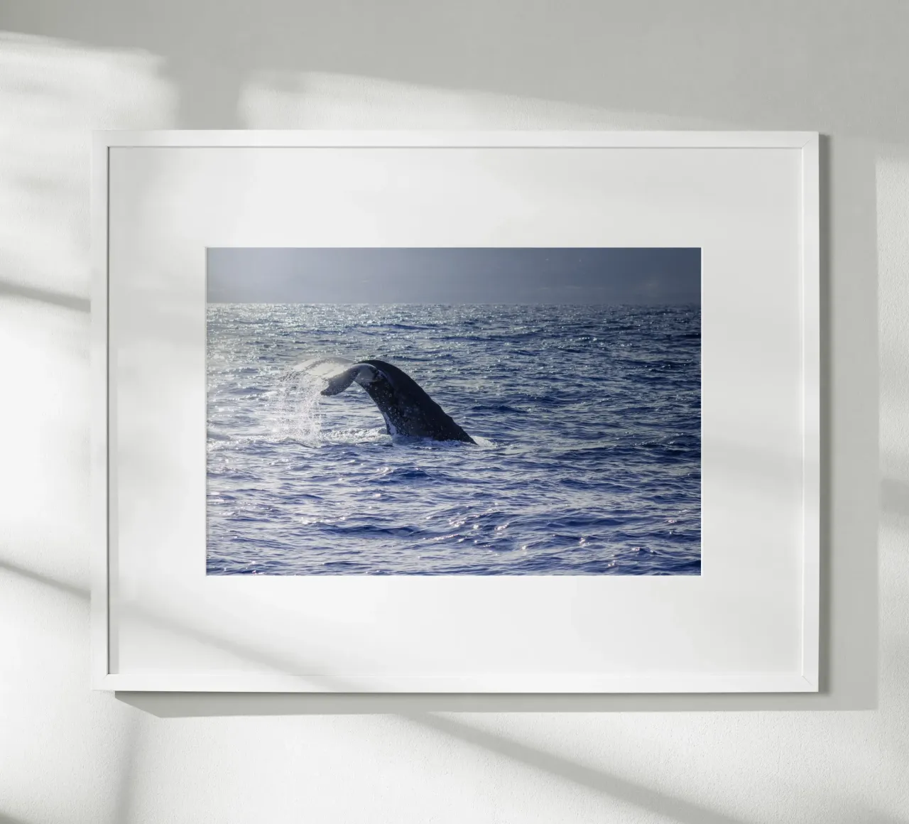 L'immersione delle balene 1 carta hahnemühle da Léa Lefebvre Photography