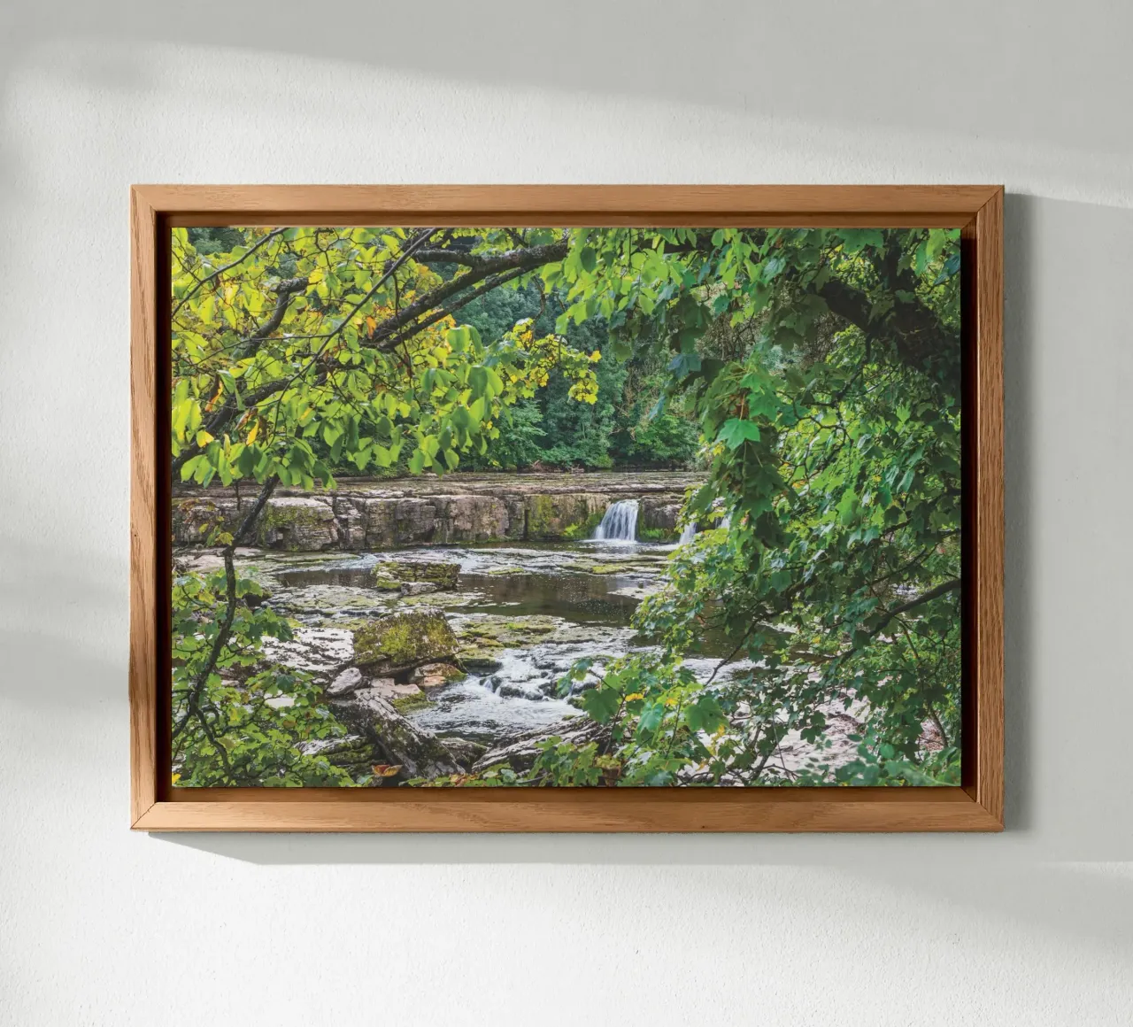 Aysgarth Falls placa de forex de Dave Hare Photography