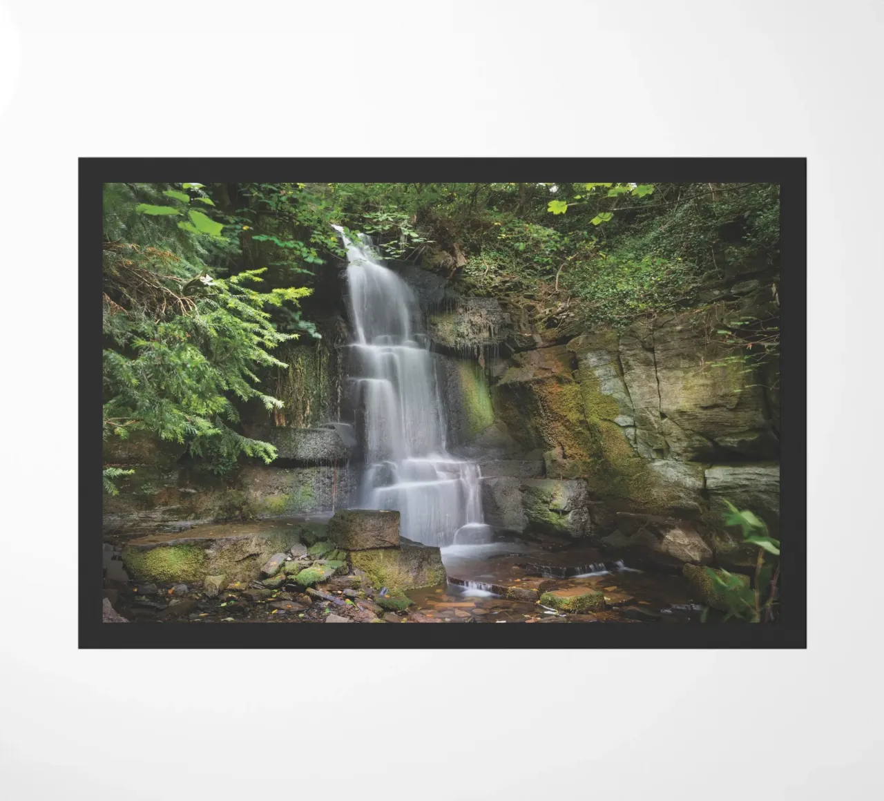 Harmby Falls zerbino da Dave Hare Photography