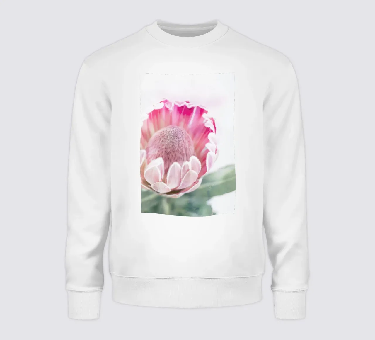 Print 400 felpa da Lila & Lola