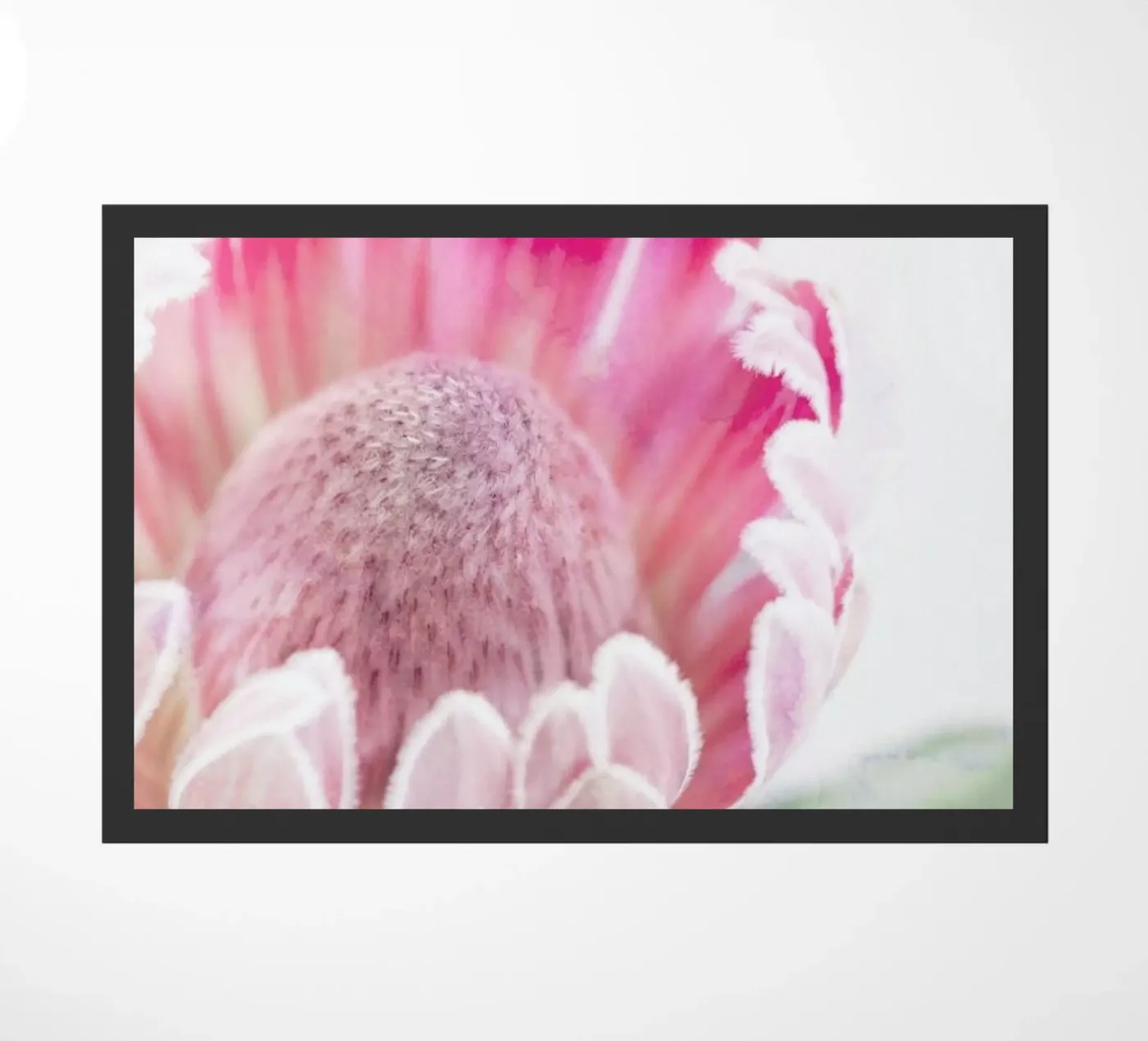 Print 400 zerbino da Lila & Lola