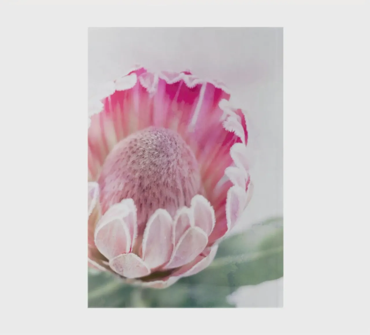 Print 400 notebook by Lila x Lola