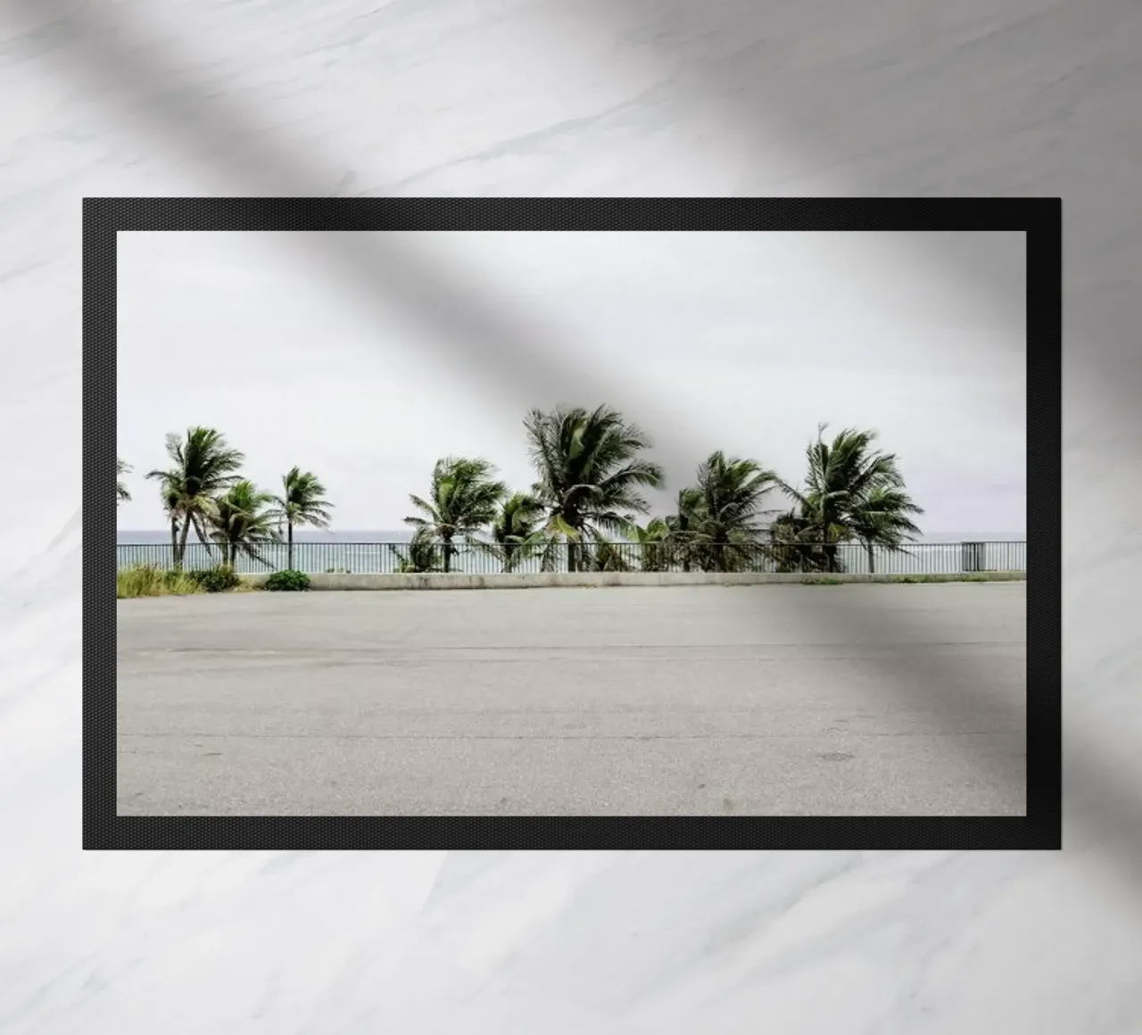 Palmen zerbino da Andreas Wundersee