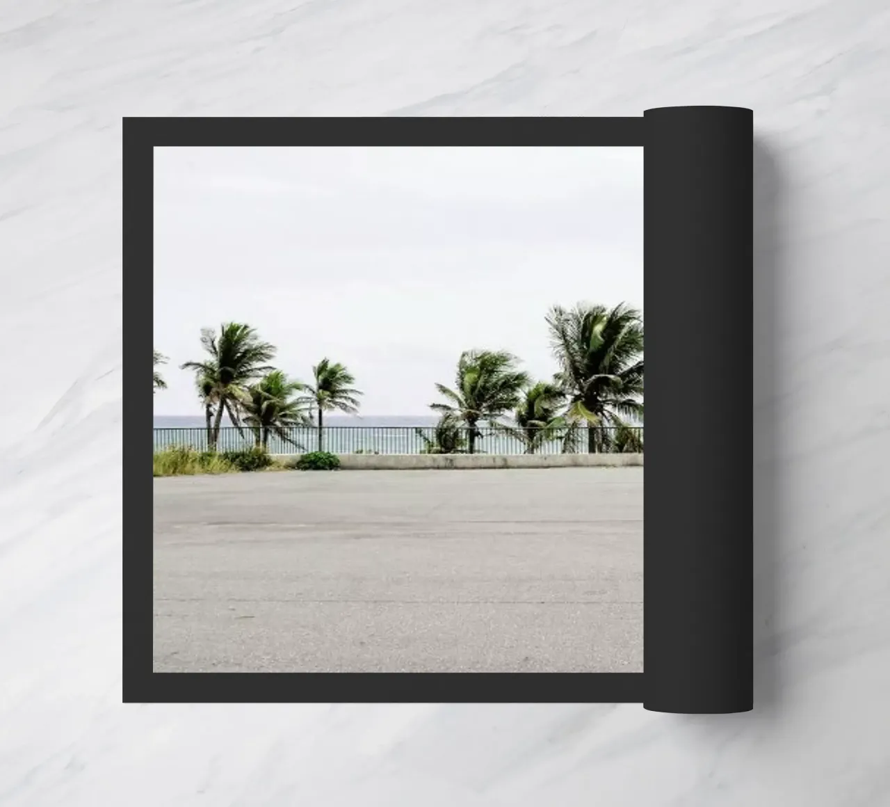 Palmen zerbino da Andreas Wundersee