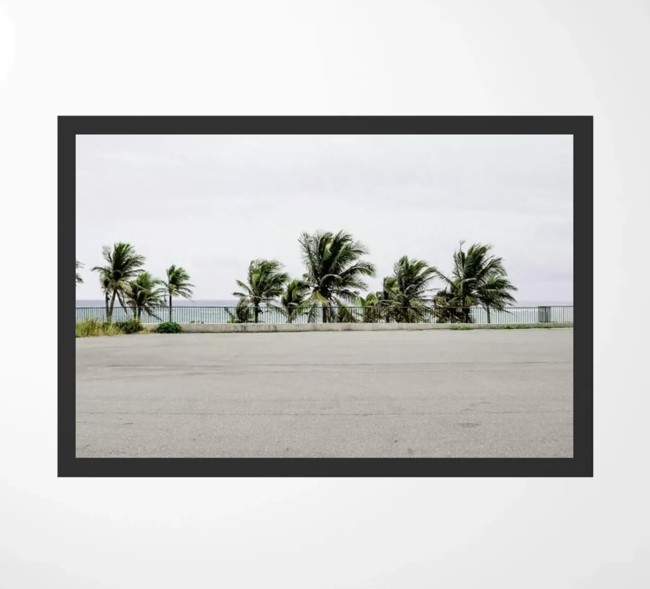 Palmen zerbino da Andreas Wundersee