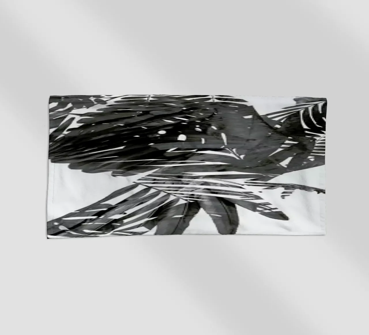 Parrot telo mare da Chris Wharton