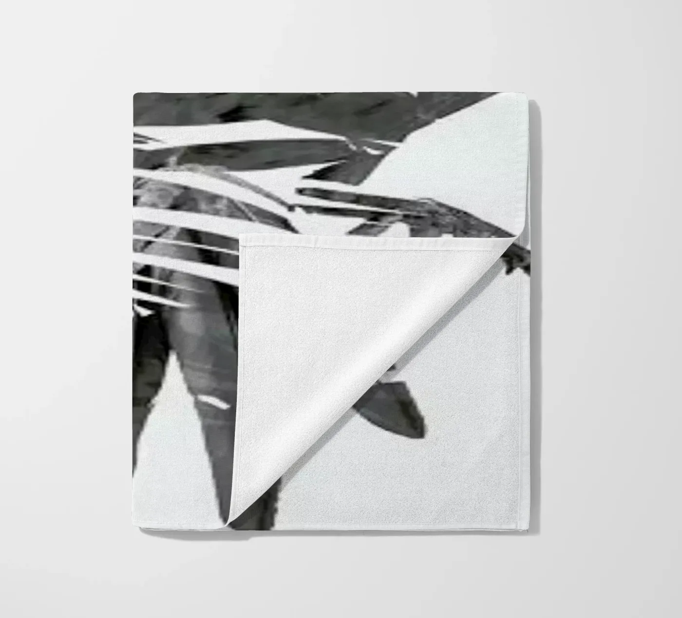 Parrot telo mare da Chris Wharton