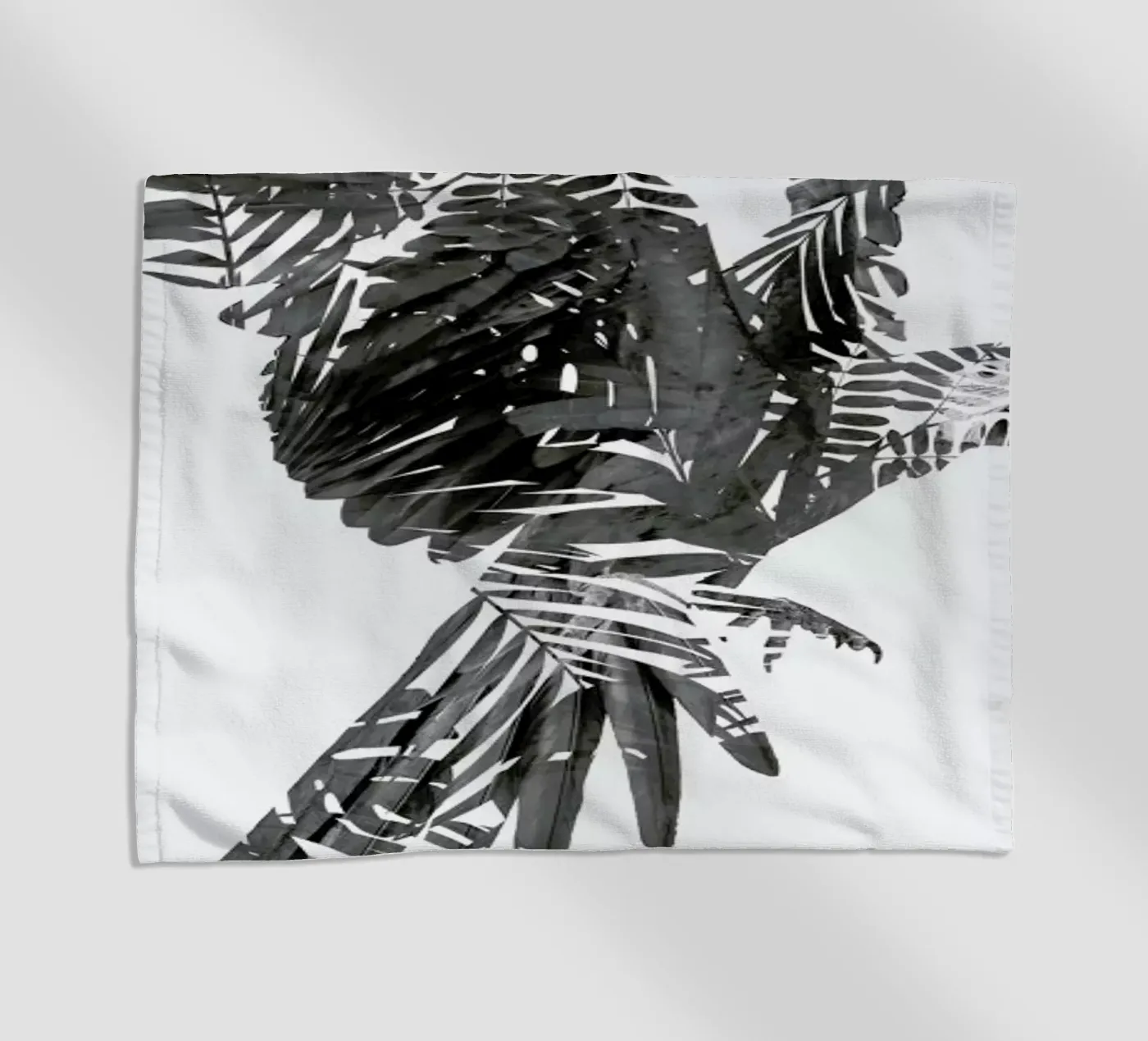 Parrot telo mare da Chris Wharton