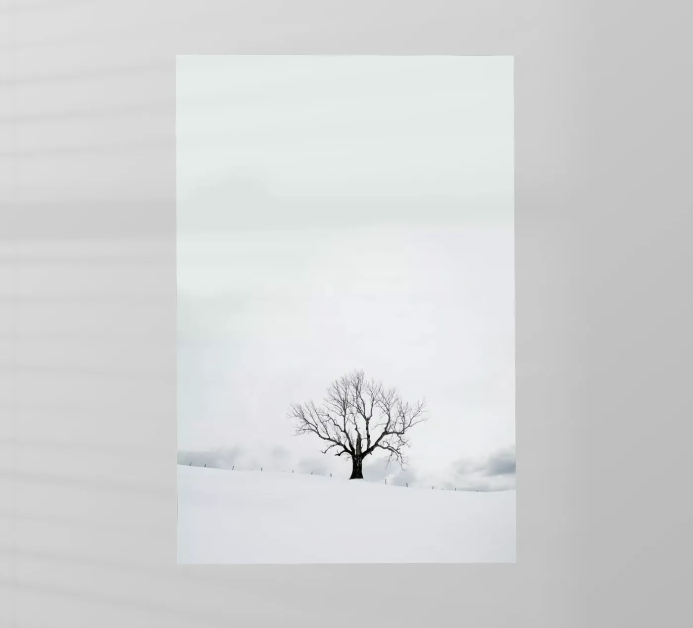 Winter Tree pellicola backlit da XOXO Arte