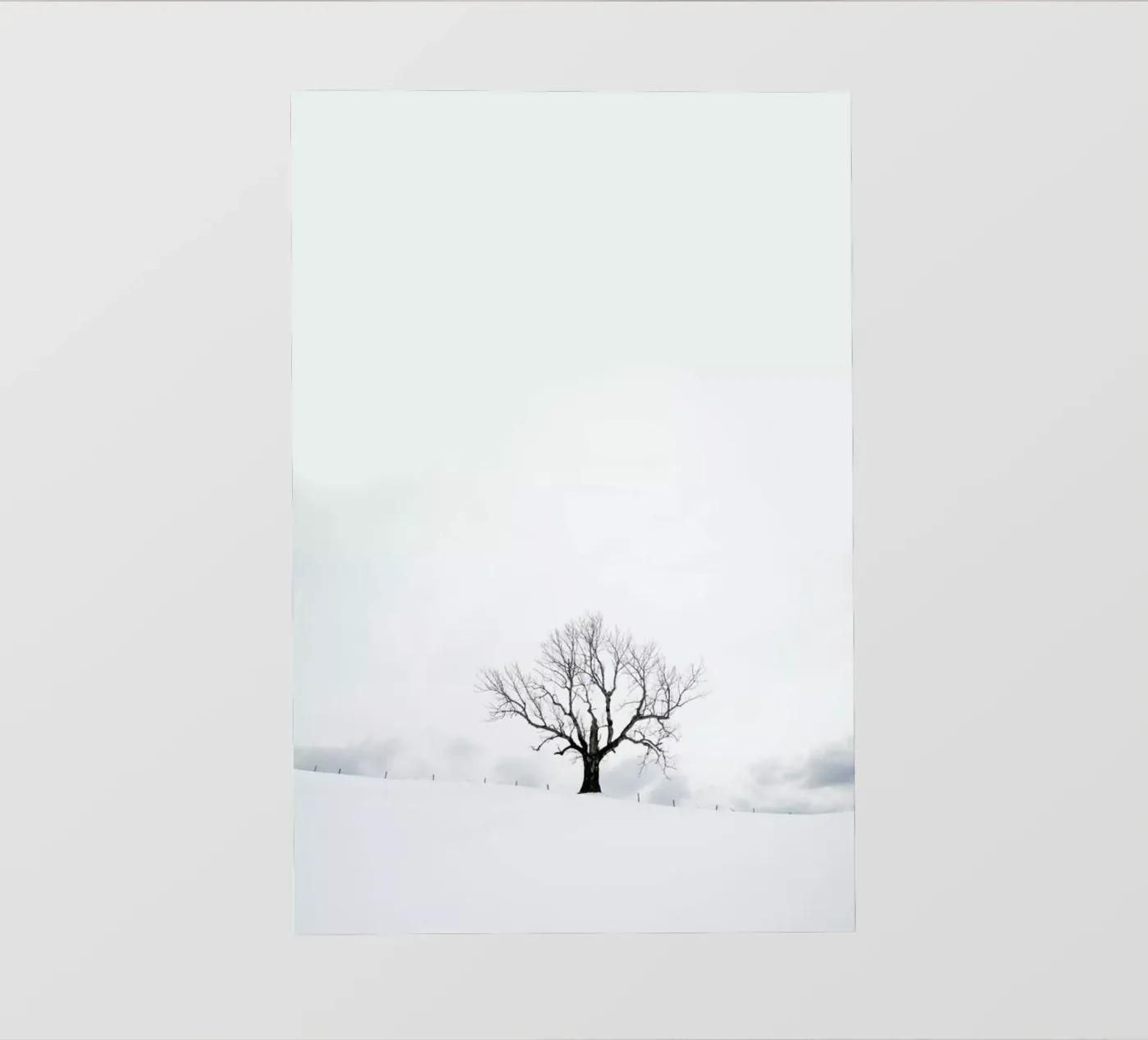 Winter Tree pellicola backlit da XOXO Arte