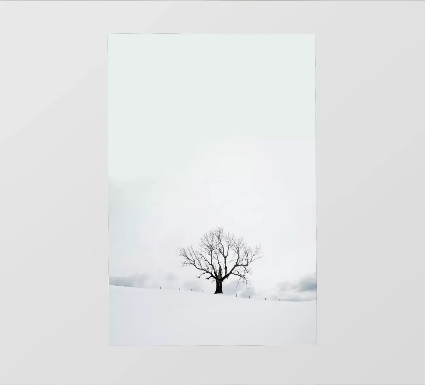 Winter Tree pellicola backlit da XOXO Arte