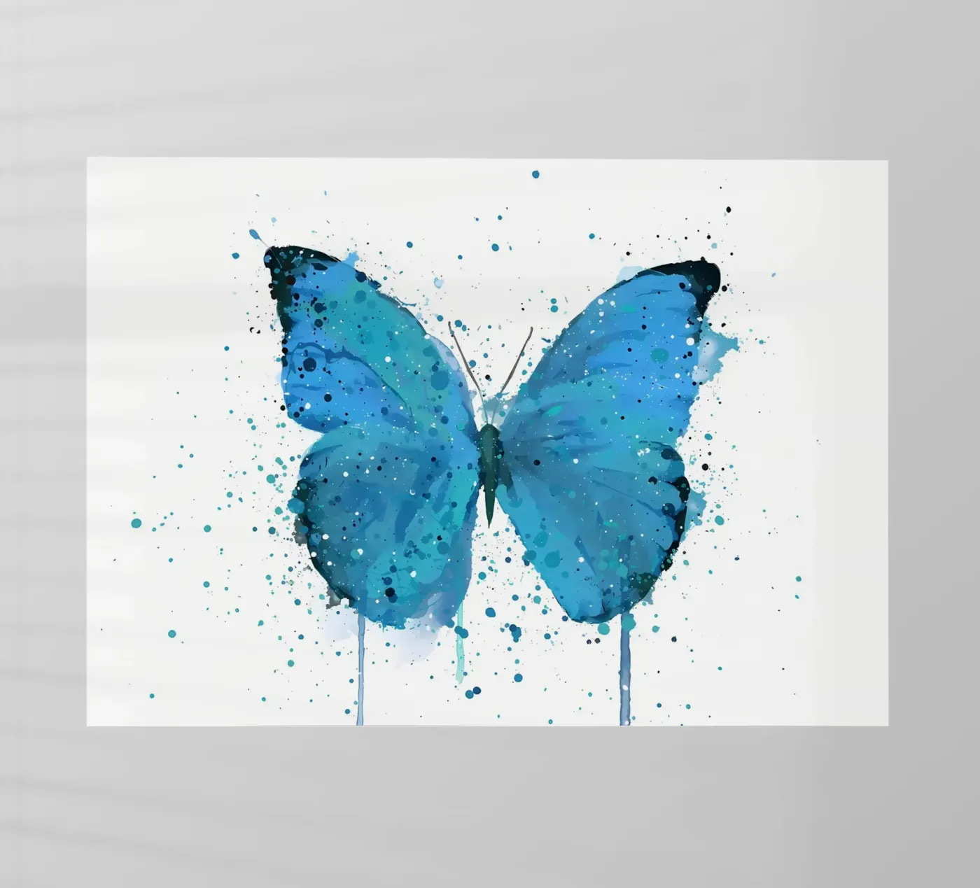 Butterfly Morpho pellicola backlit da Nami