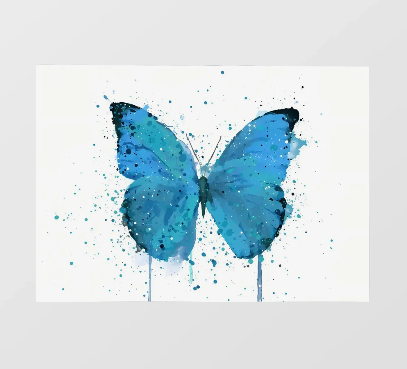 Butterfly Morpho pellicola backlit da Nami