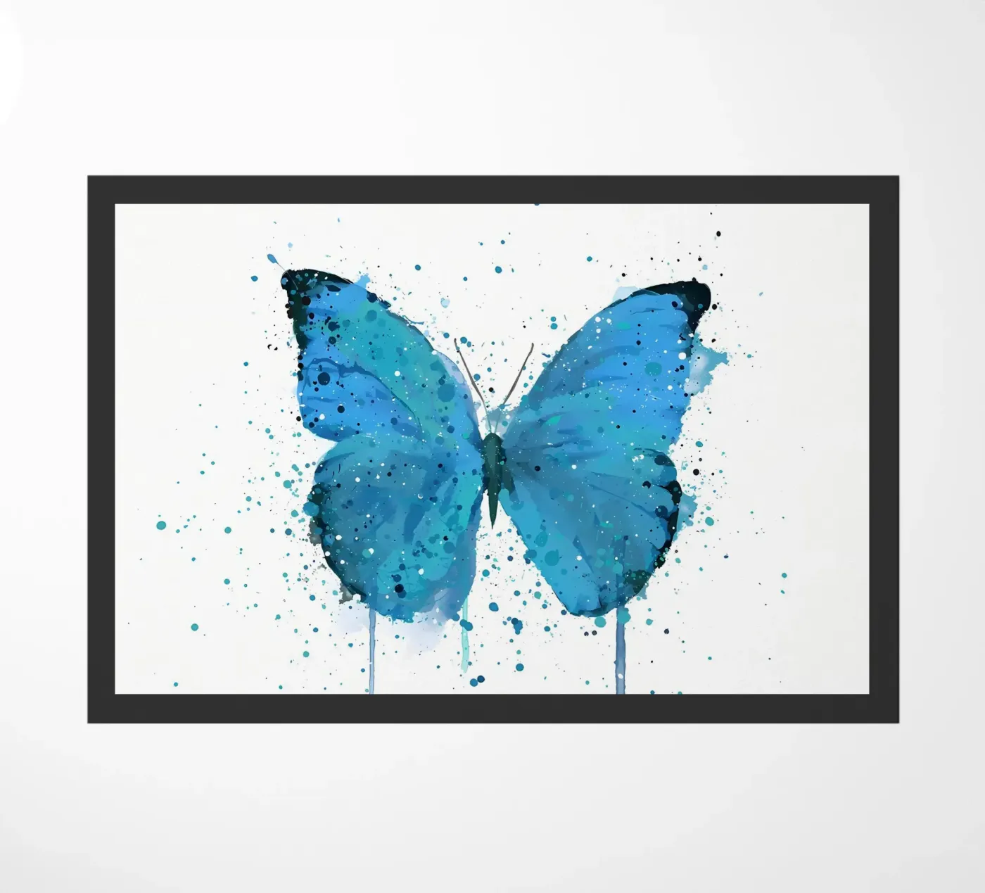 Farfalla Morpho zerbino da Nami