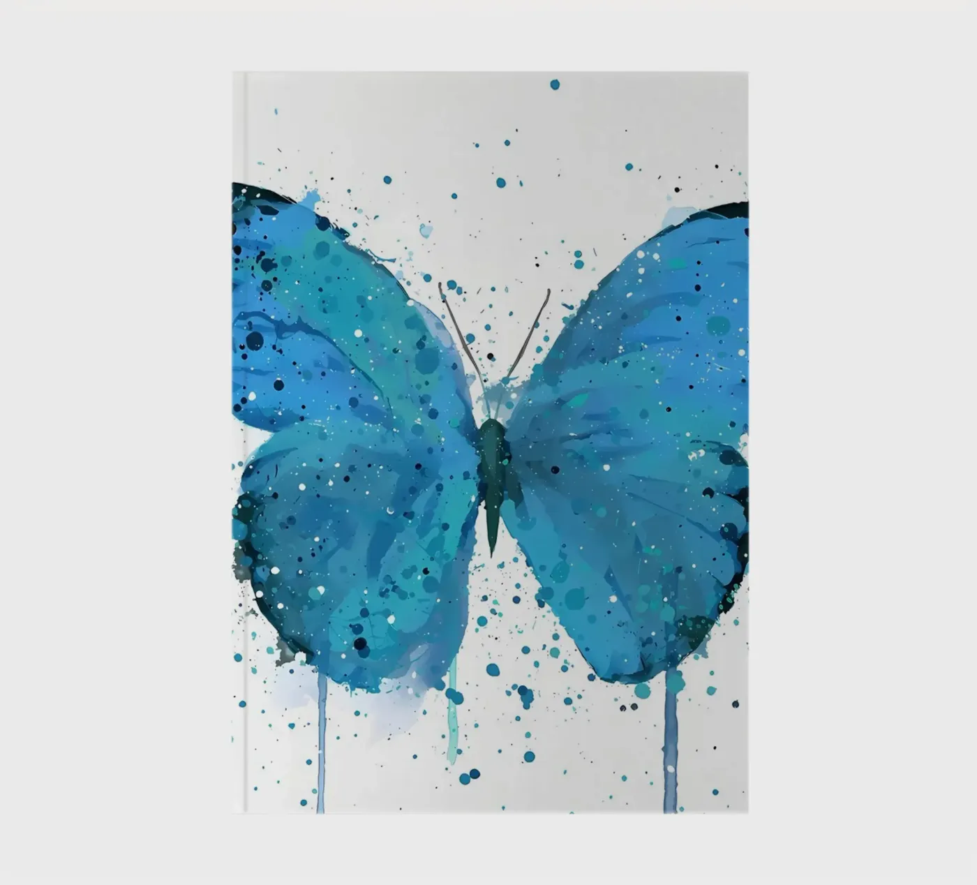 Farfalla Morpho quaderno da Nami