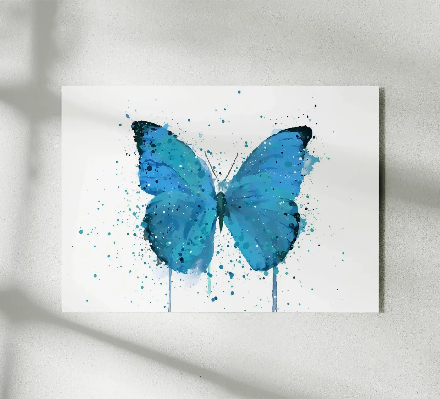 Farfalla Morpho plexiglass da Nami