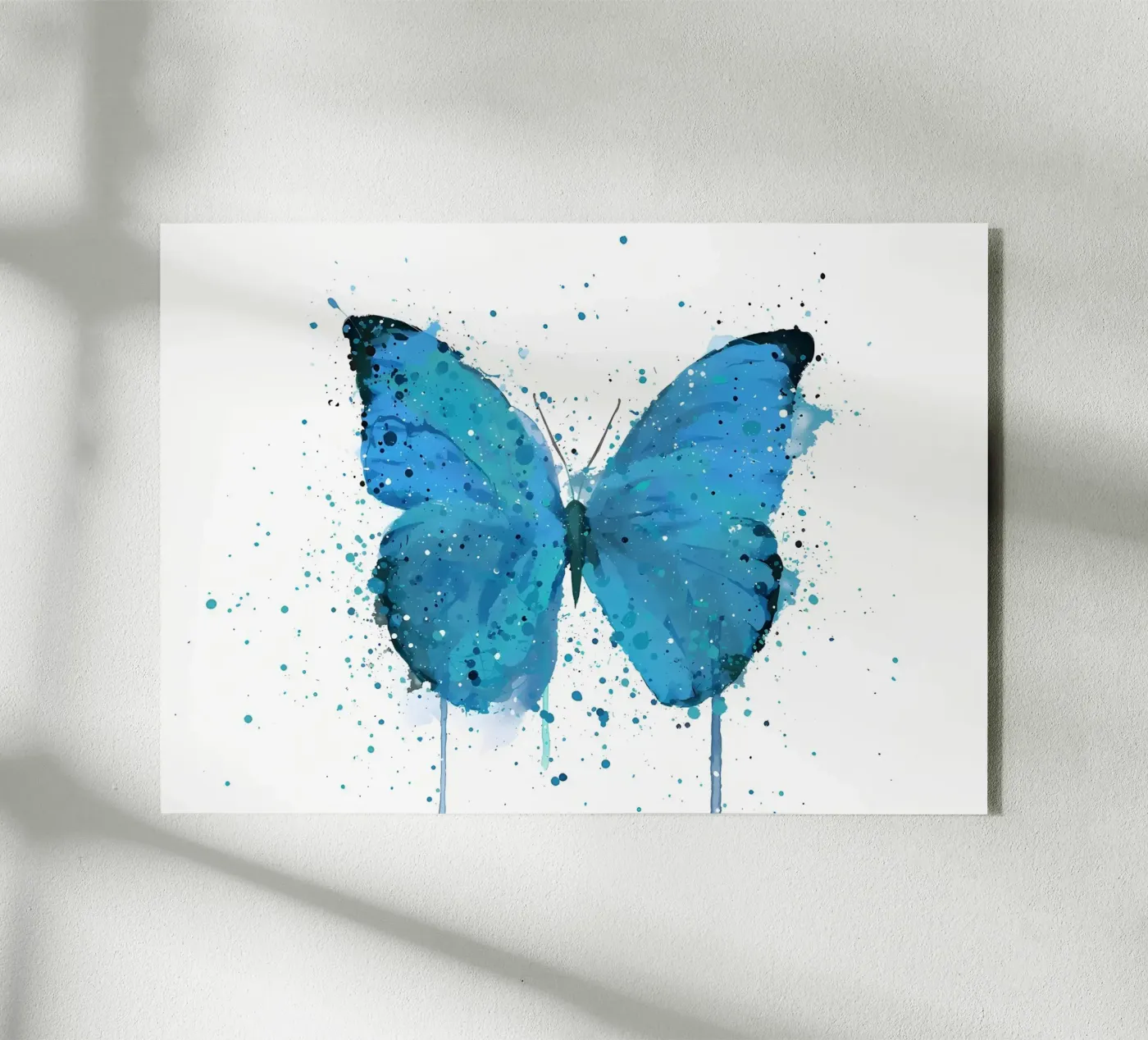 Butterfly Morpho acrylic glass by Nami