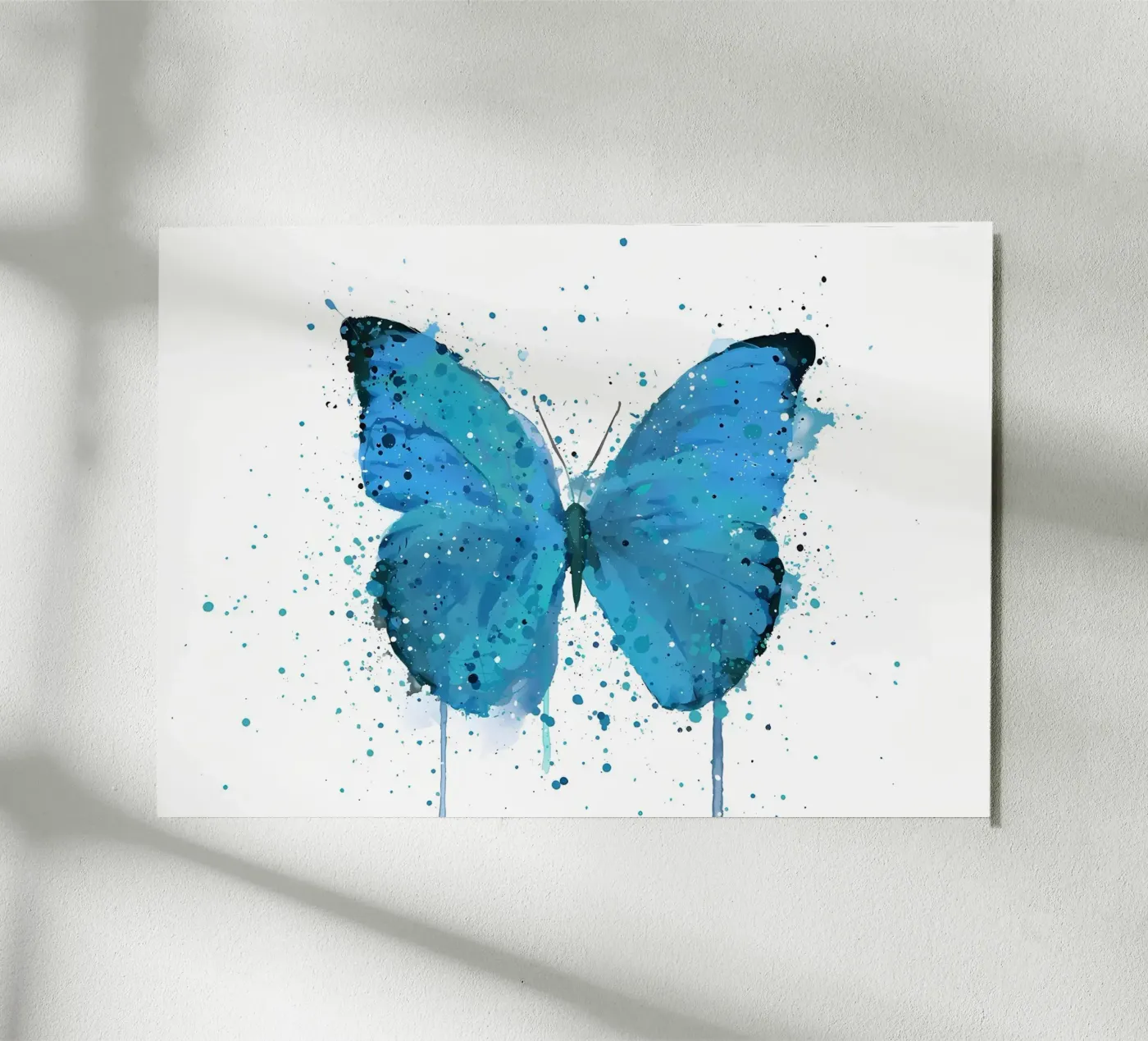 Vlinder Morpho forex-plaat van Nami