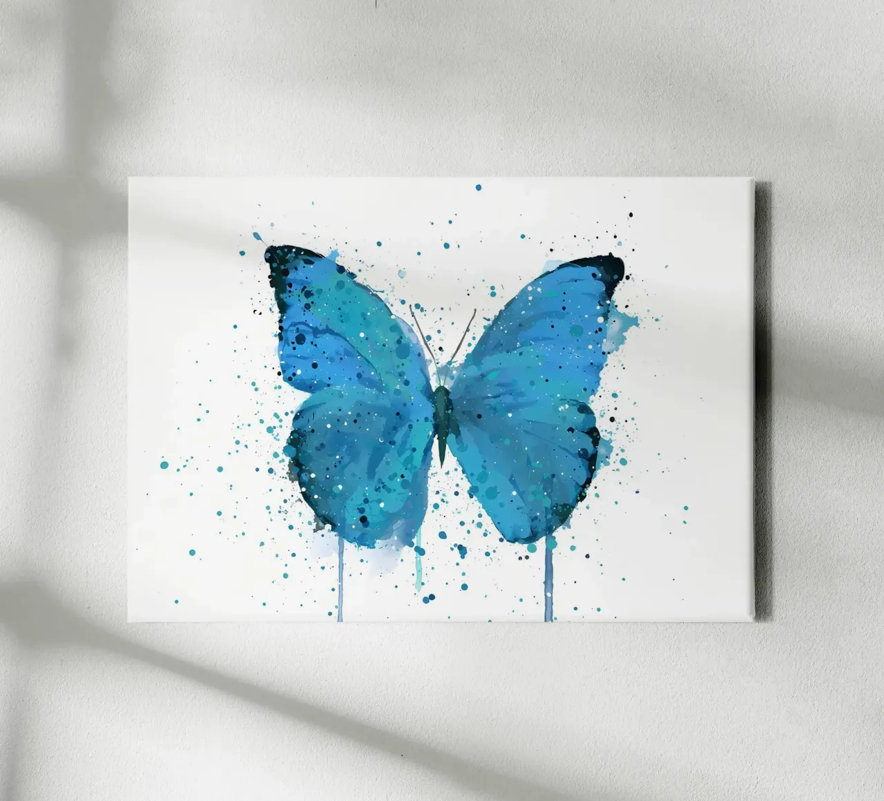 Farfalla Morpho tela con Cornice a cassetta da Nami