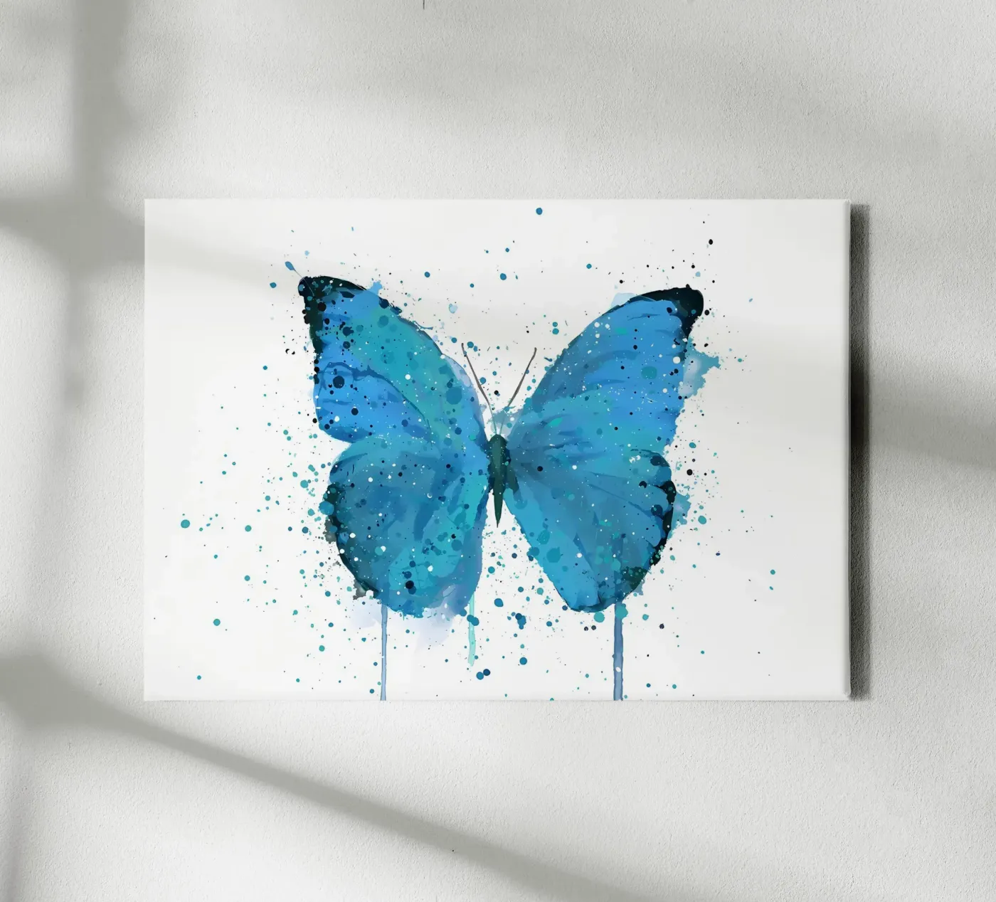 Farfalla Morpho tela da Nami