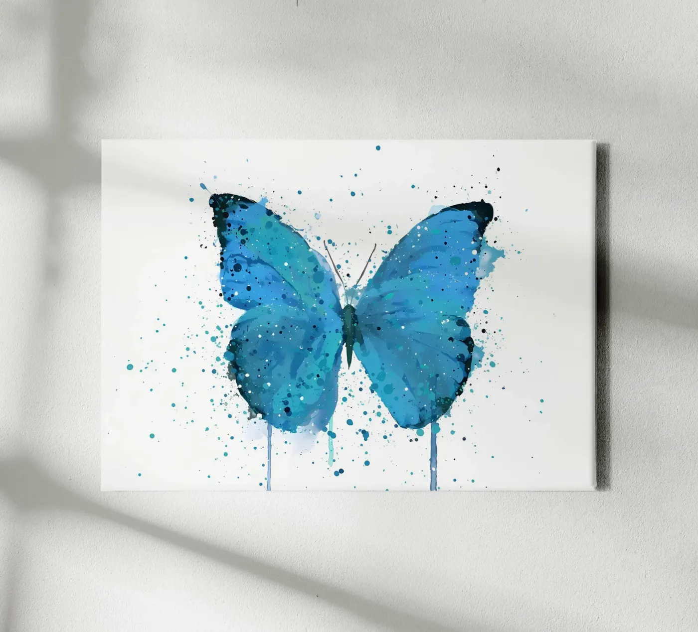 Farfalla Morpho tela da Nami